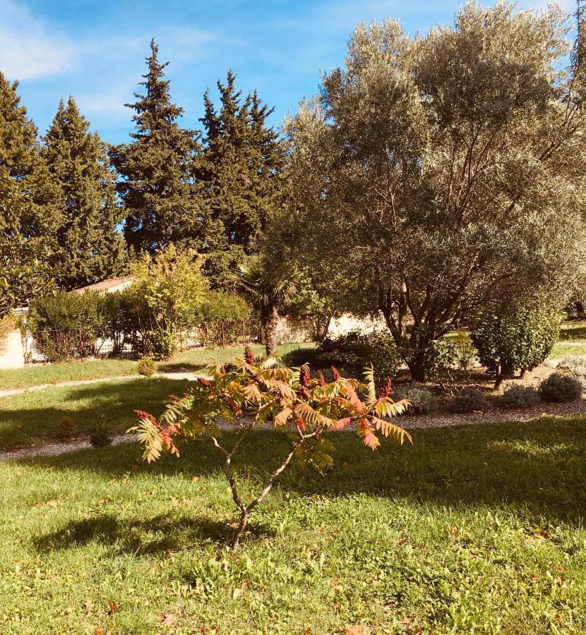 Violès Le Mogador Chateau Du Martinet المظهر الخارجي الصورة