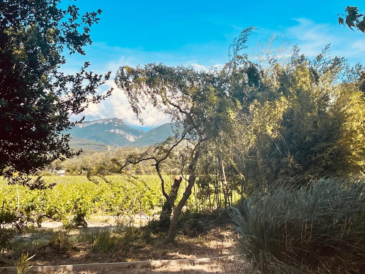 Violès Le Mogador Chateau Du Martinet المظهر الخارجي الصورة
