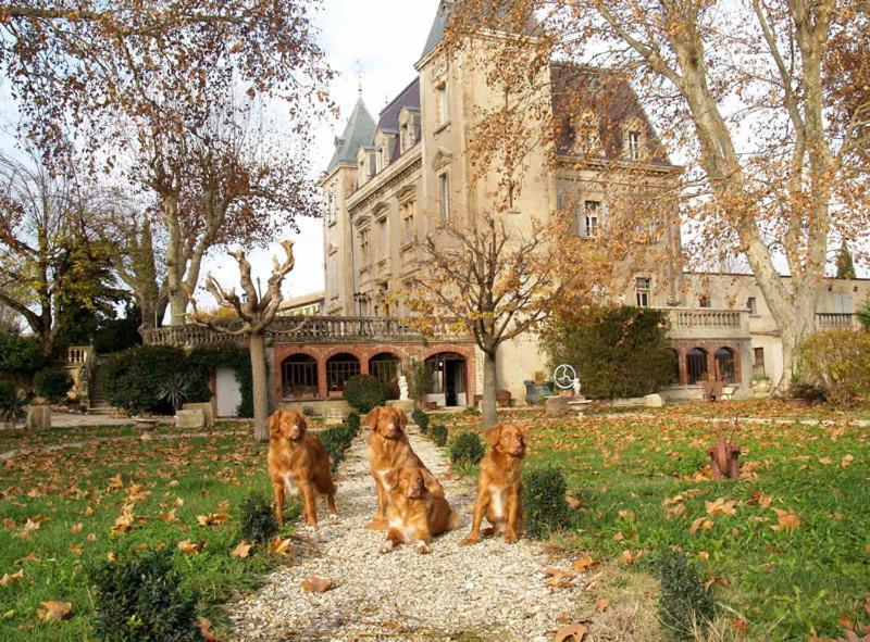 Violès Le Mogador Chateau Du Martinet المظهر الخارجي الصورة