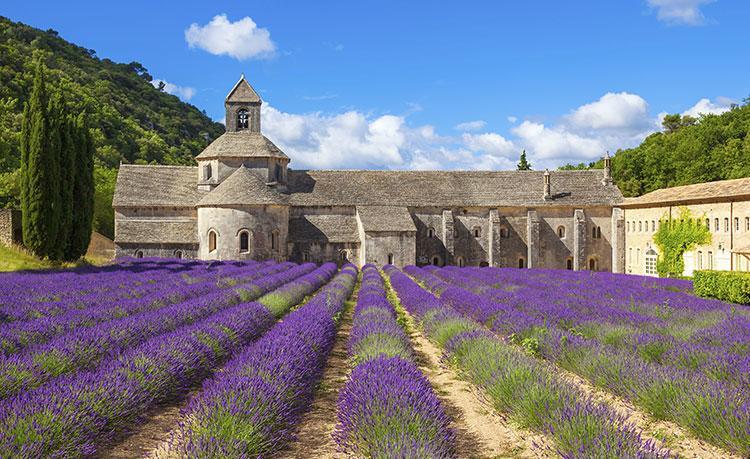 Violès Le Mogador Chateau Du Martinet المظهر الخارجي الصورة